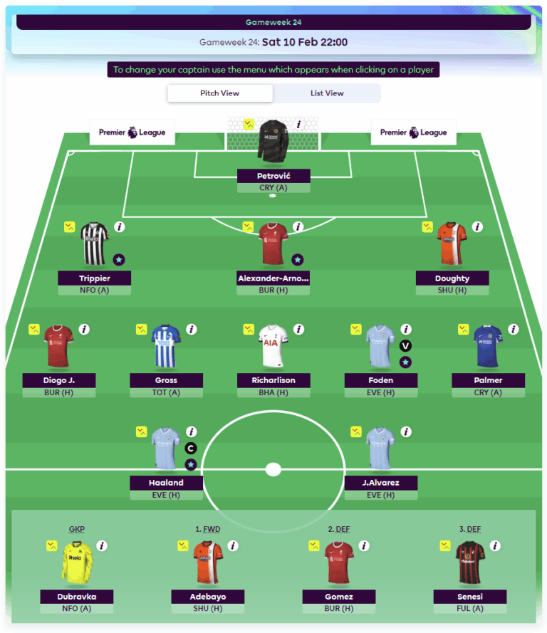 Fantasy Premier League (FPL) Best Meta Team and Players - Gameweek 24